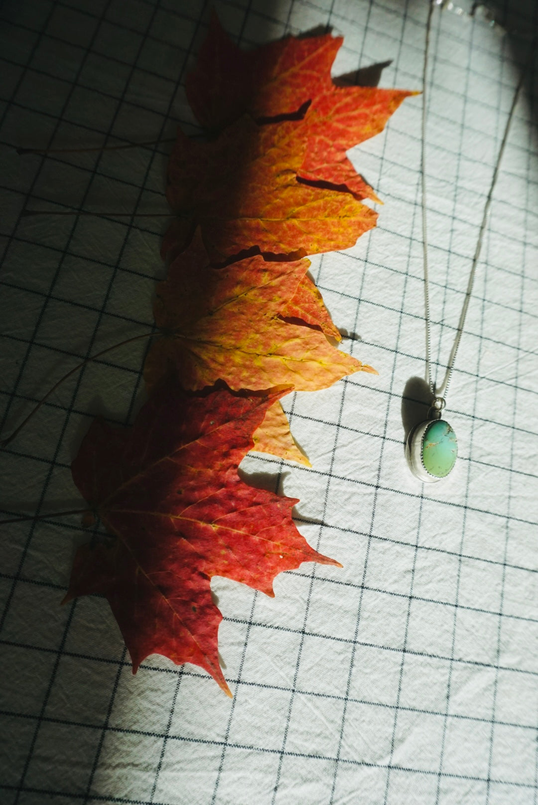 Silver Lining Necklace #1 // Evans Turquoise